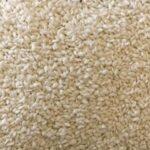 Read more about the article What is sesame seed?