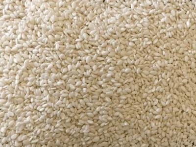 You are currently viewing What is sesame seed?