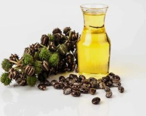 CASTOR OIL